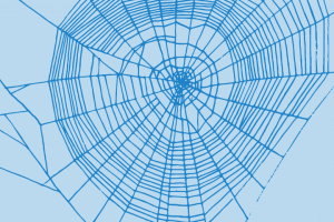 Die schwarze Spinne