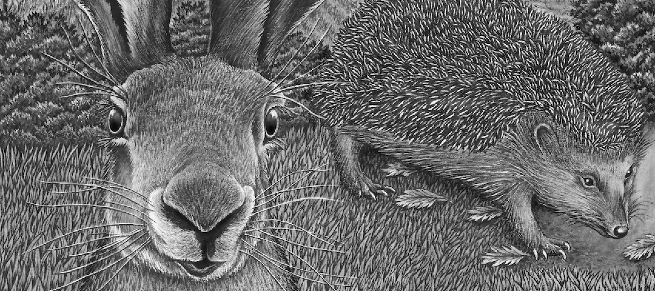 Was Ist Eine Lehre In Einer Fabel Fabel • Merkmale der Textsorte Fabel • Inhaltsangabe.de